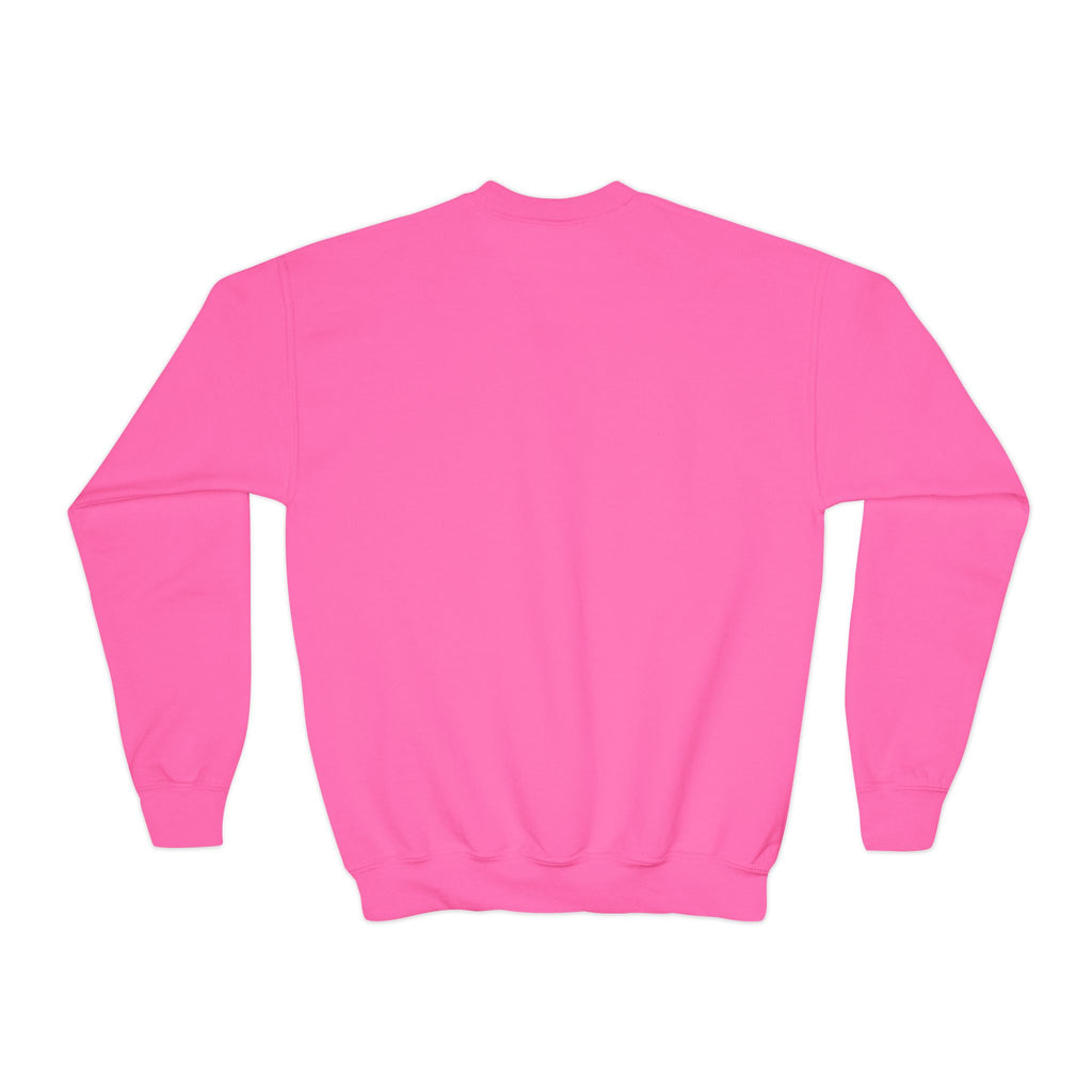 Youth embroidered sweatshirt- Cat lovers
