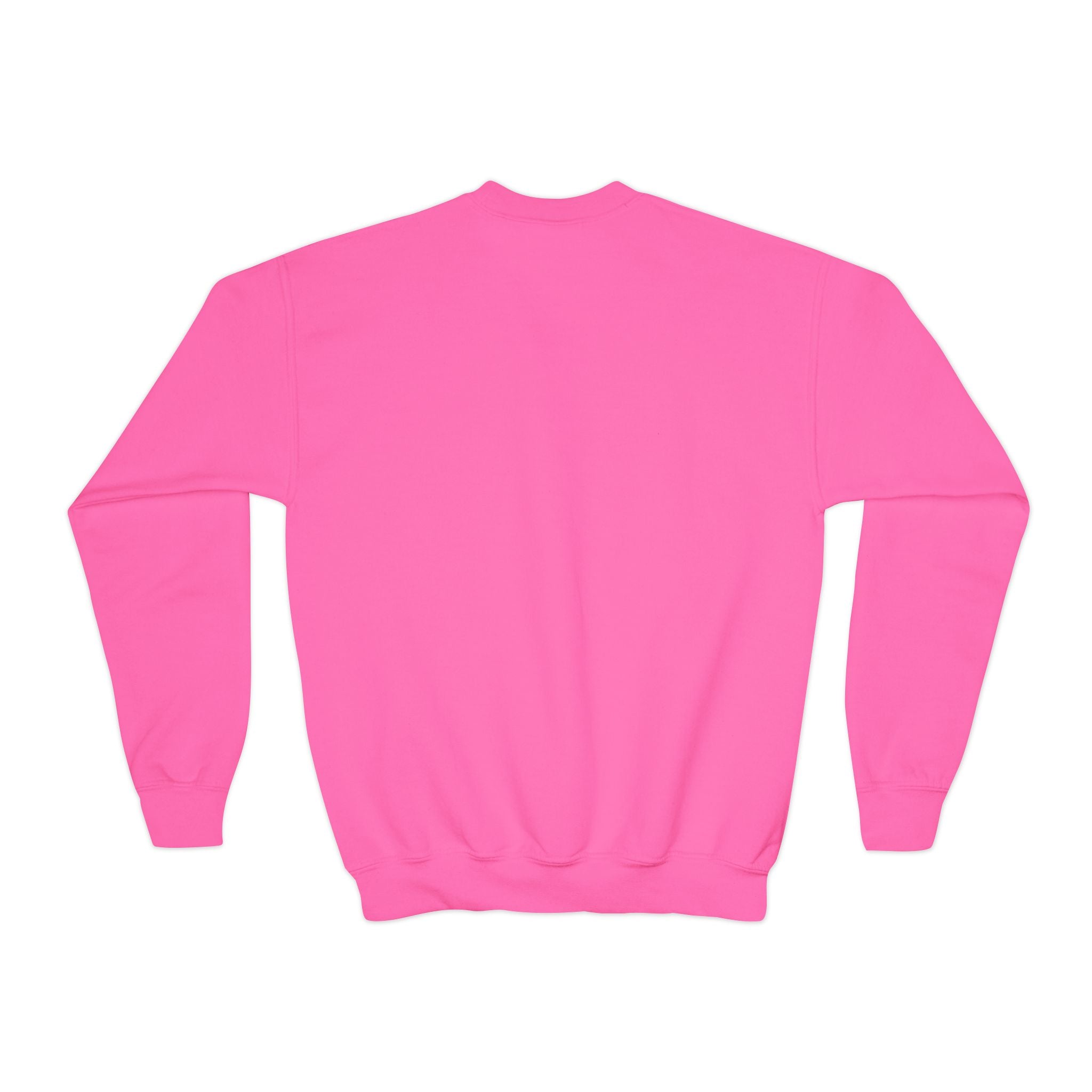 Youth embroidered sweatshirt- Cat lovers