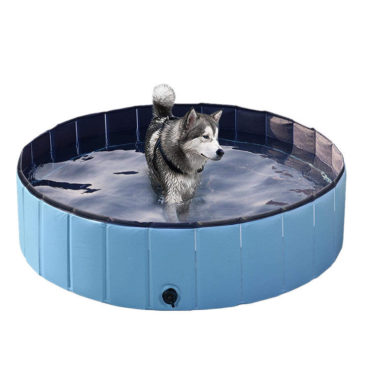 Dog Swimming Pool