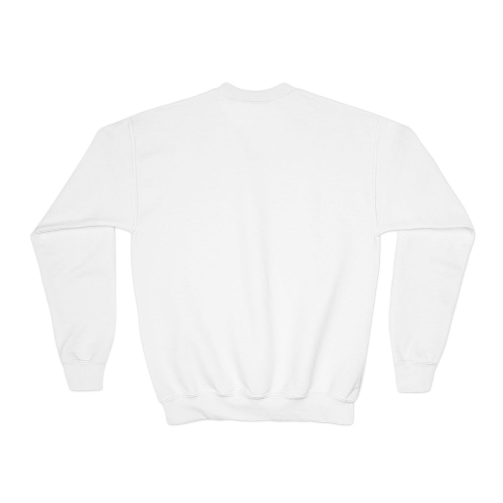 Youth embroidered sweatshirt- Cat lovers