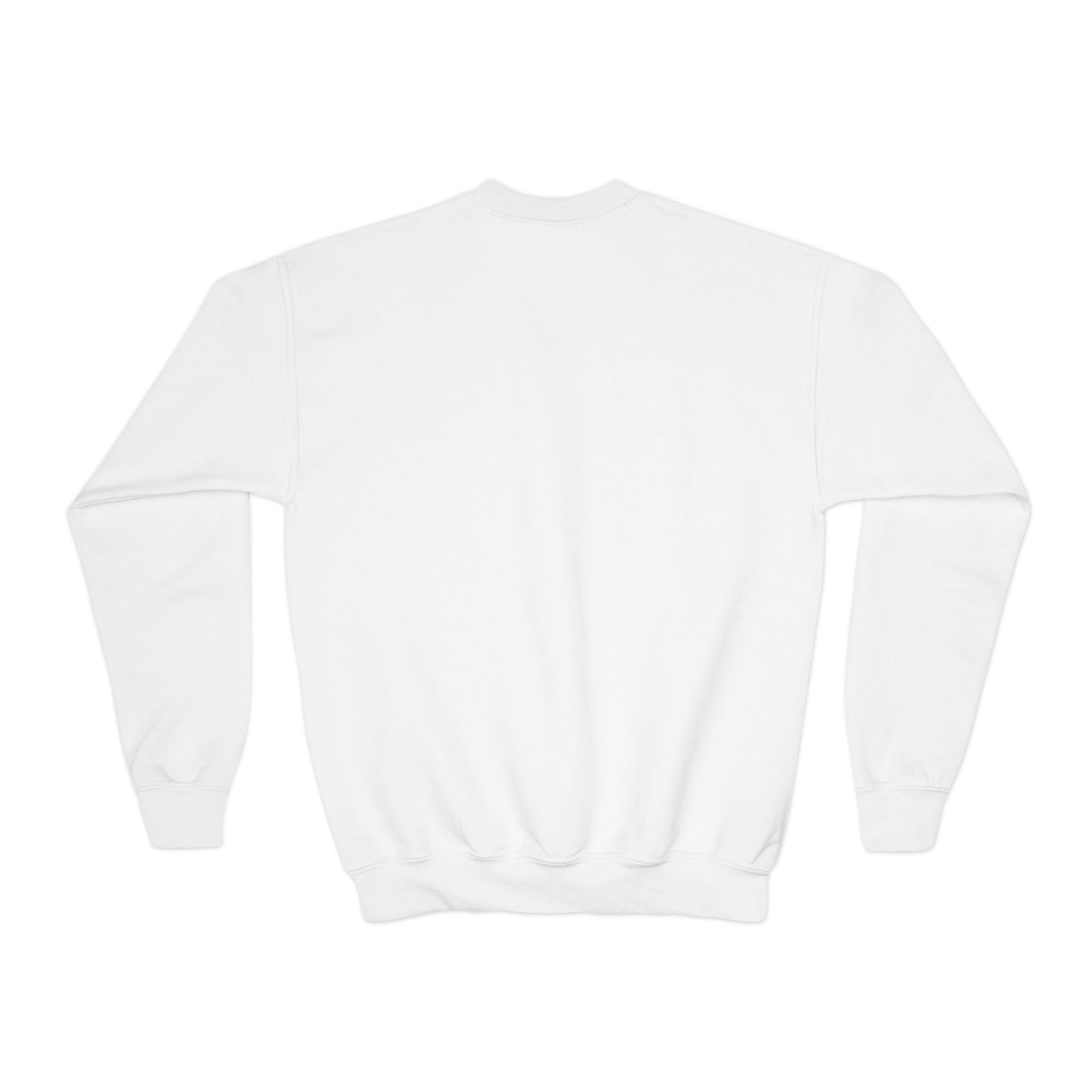 Youth embroidered sweatshirt- Cat lovers