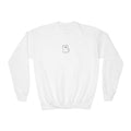 Youth embroidered sweatshirt- Cat lovers